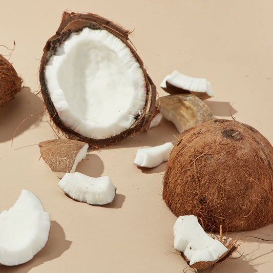 Ingredient Spotlight: Coconut Extract