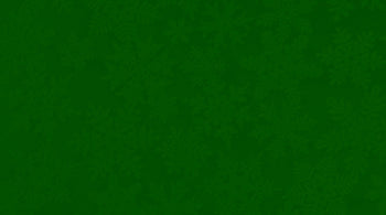 Solid green color swatch