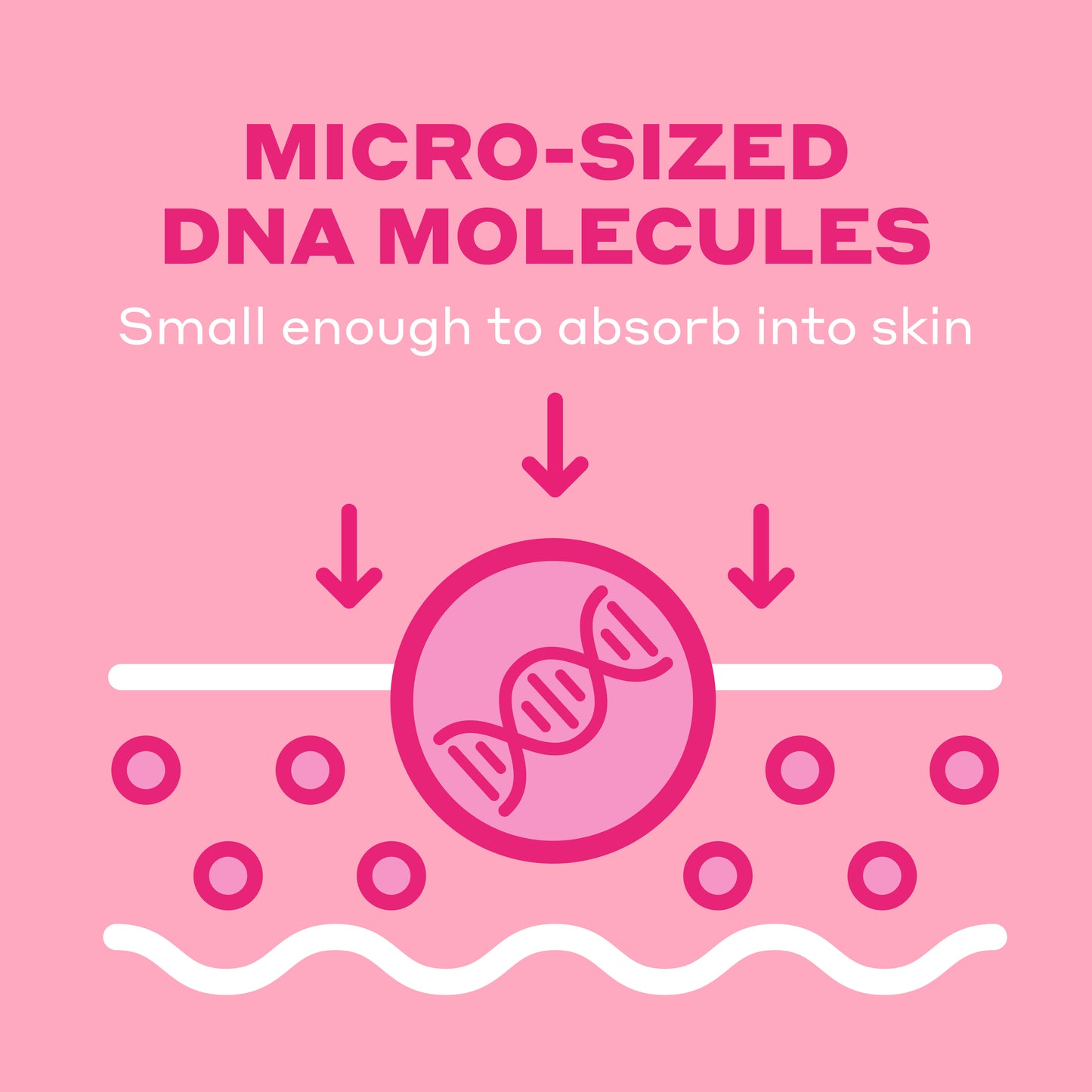Diagram of micro-sized DNA molecules absorbing into skin on a pink background