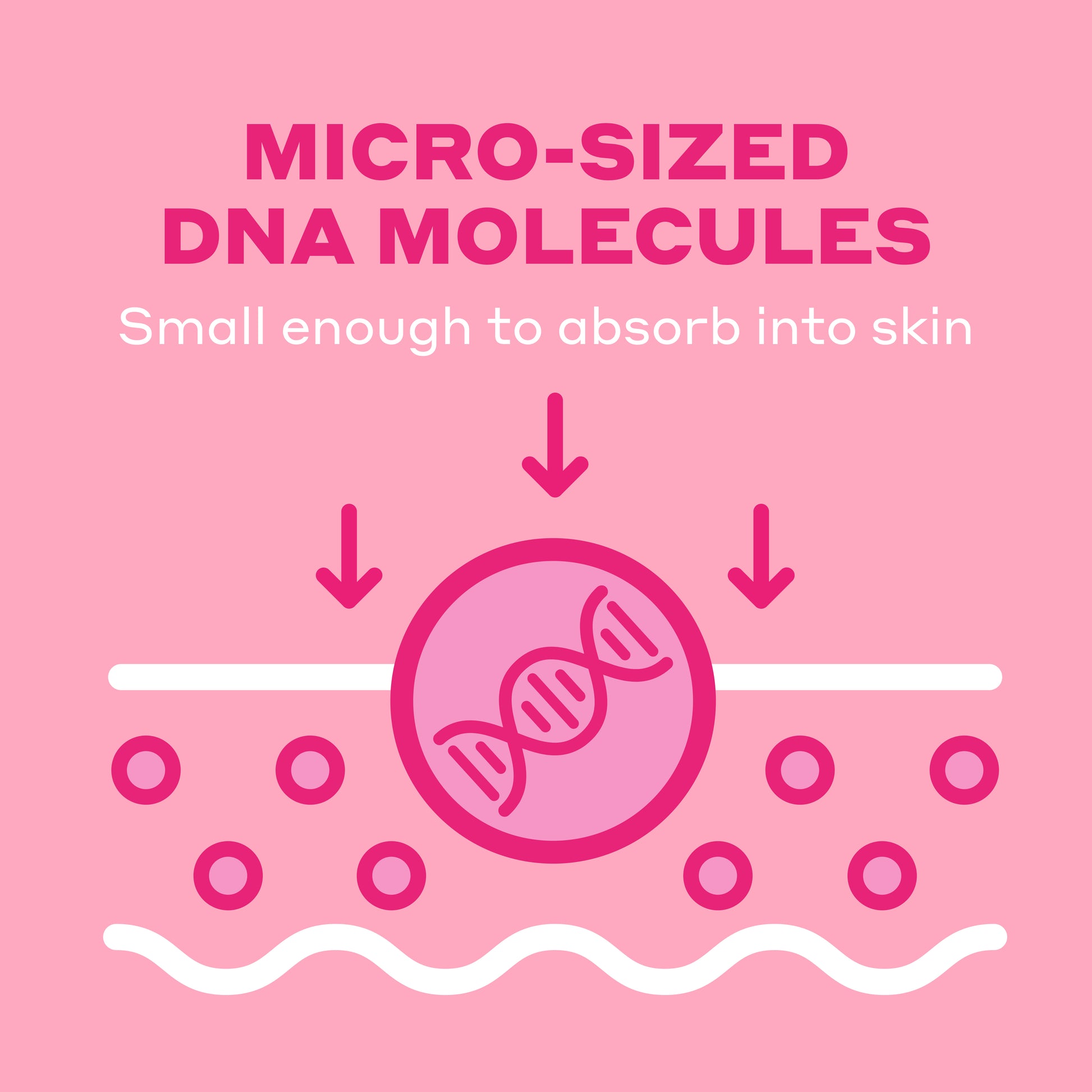 Diagram of micro-sized DNA molecules absorbing into skin on a pink background