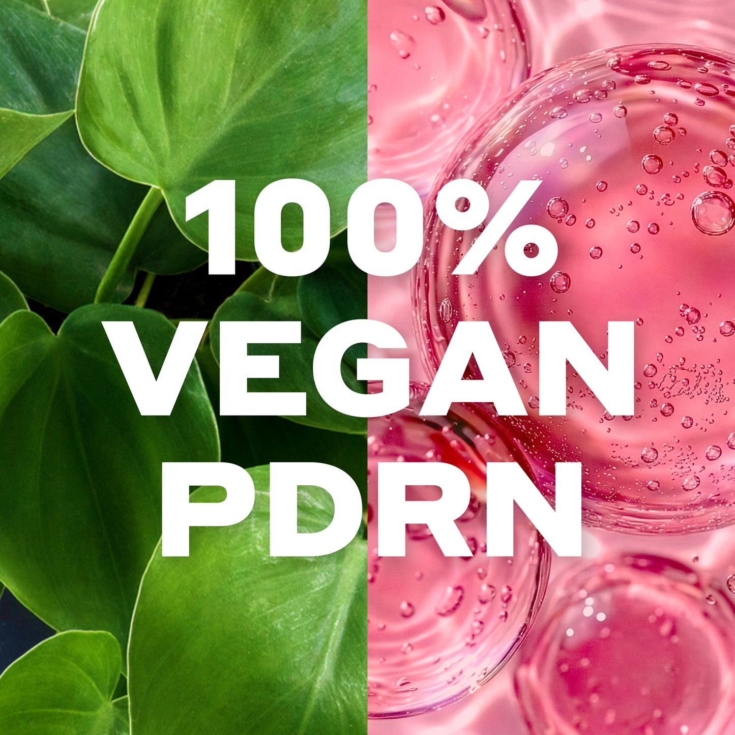 Split image with green leaves on the left and pink liquid with bubbles on the right, featuring '100% Vegan PDRN' text.